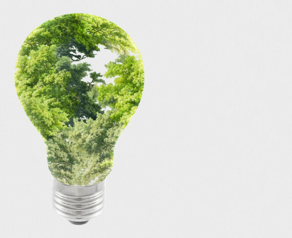 sustainable-energy-campaign-tree-light-bulb-media-remix